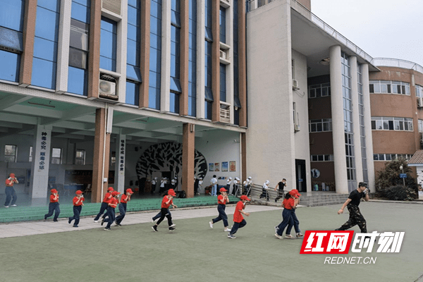 科技新纪元下的灵敏度重塑，最新灵敏度分享码引领生活体验革新