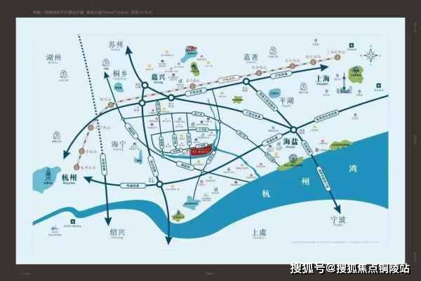 花生米最新行情概览，市场走势及影响分析
