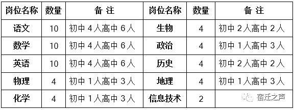 泗阳最新招聘信息大揭秘🔍