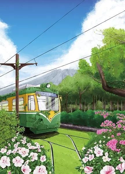 最新险种探索，自然之旅的心灵平和之旅