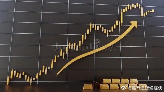 深度解析与观点阐述 第4页