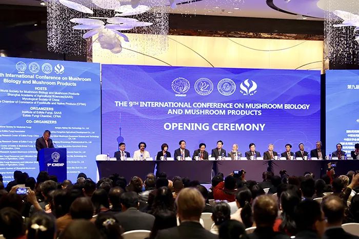 人民通惠集团引领科技革新，重塑生活体验的最新新闻