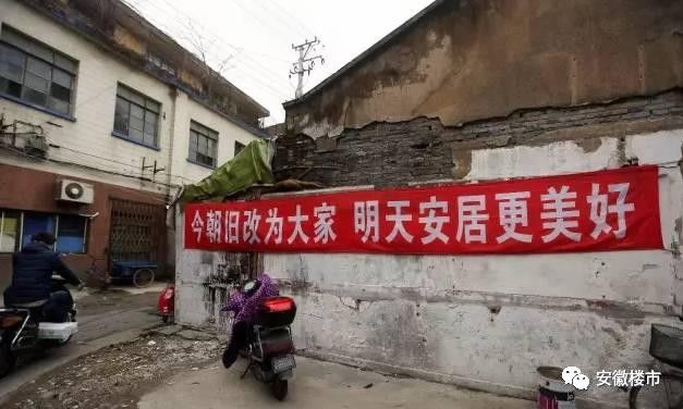 北大国际最新消息,北大国际最新消息，小巷中的隐藏宝藏，一家特色小店的独特魅力