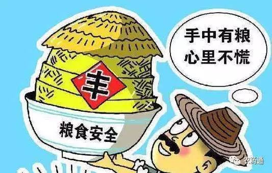 粮食收购新政策引领粮食收购新篇章，政策下的温馨日常