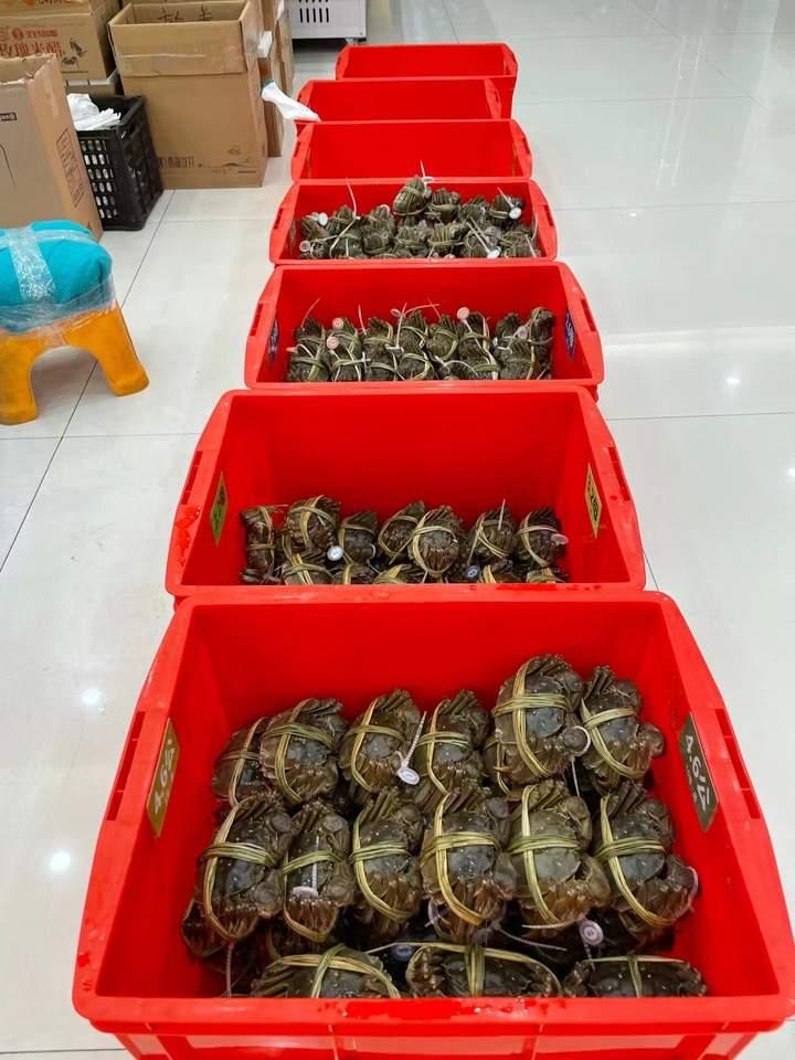智能闸蟹引领科技新纪元，开启智能生活盛宴！