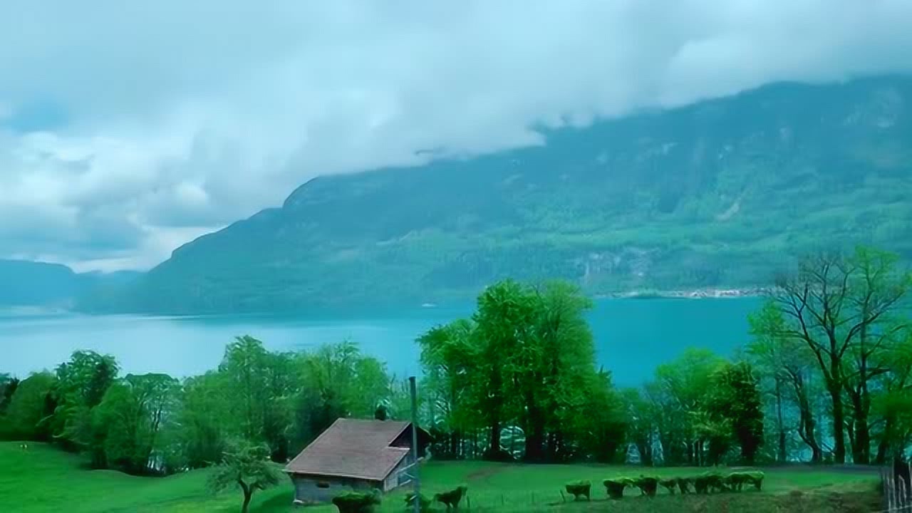 卡农最新价格，自然美景之旅的邀请函