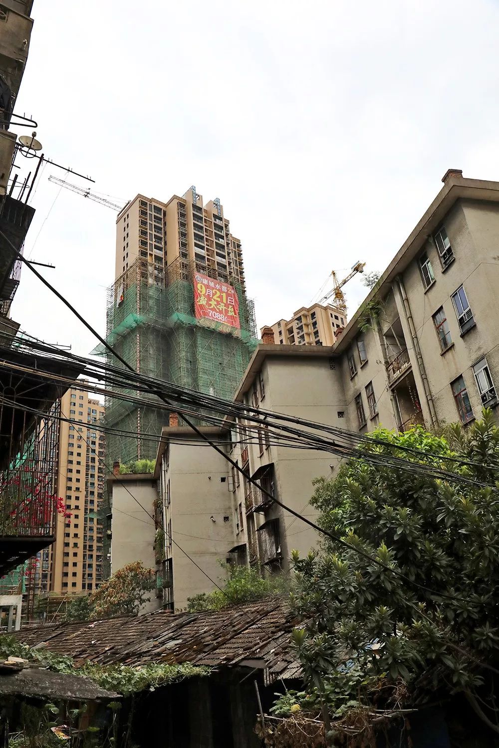 南平东坑岭棚户区改造最新进展揭秘