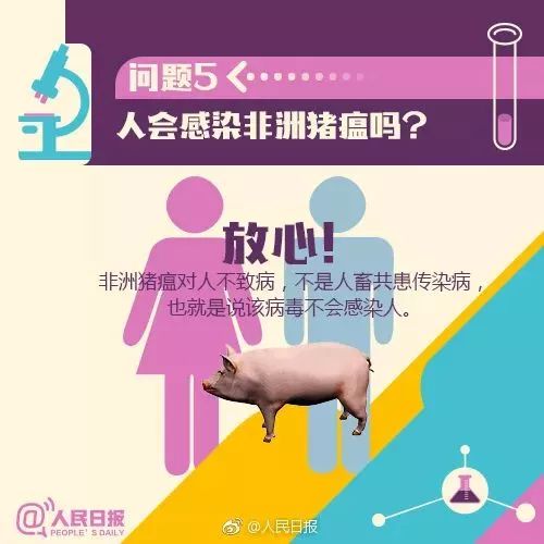 科技革新引领新时代，猪温智能监控最新消息揭秘