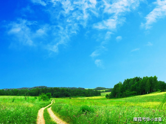 董普选最新动态，与自然美景的邂逅，内心宁静之旅揭秘