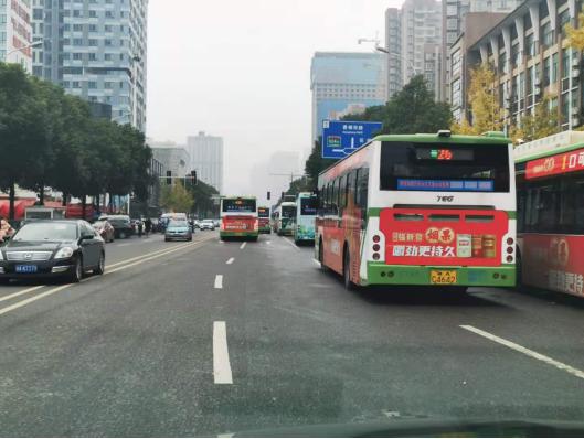 龙骧包最新款，自然美景探索之旅启程