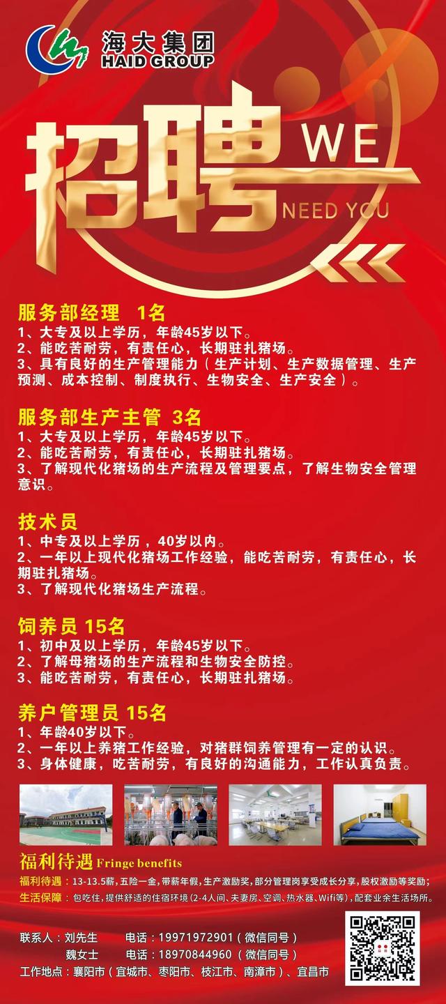 鄂尔多斯最新招聘网，启程探索自然美景，寻找内心平和的职场之旅