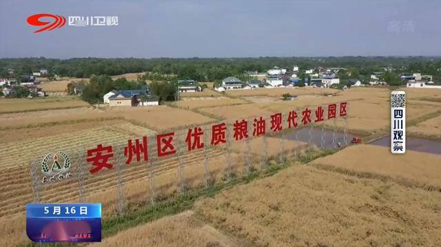 四川绵阳三台最新新闻报道