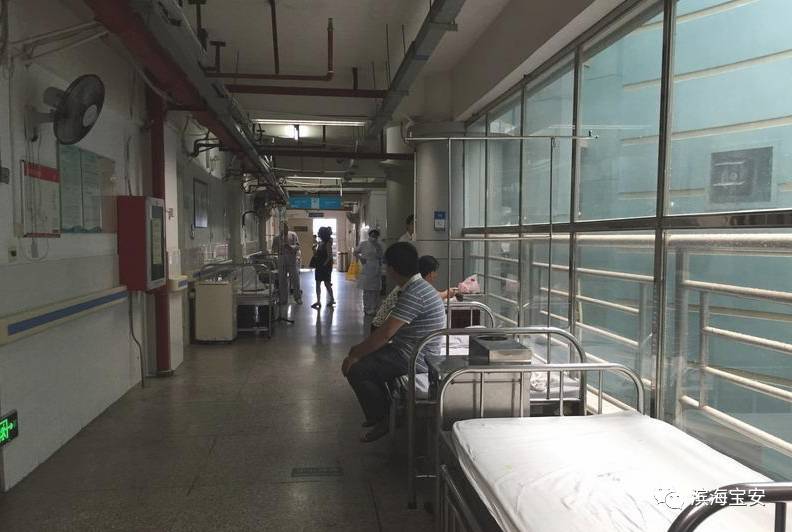 最新医生床位比例规定，小巷医疗瑰宝深度探索记