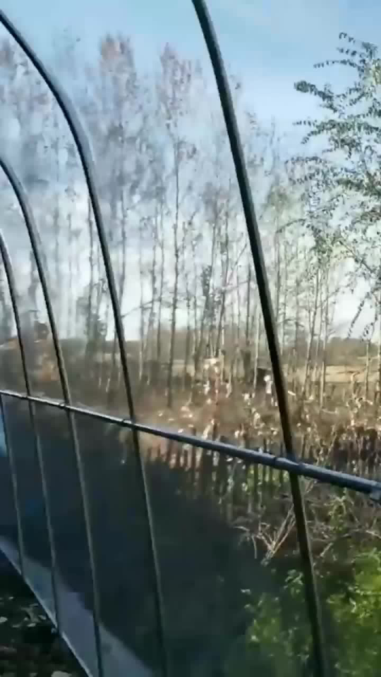 东北大棚最新取暖技术，与自然美景的温暖之旅探索