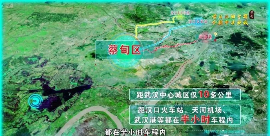武汉蔡甸大集最新发展规划概览