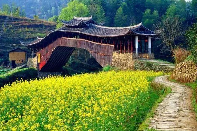 闽清东桥镇最新资讯，拥抱自然，内心宁静之旅