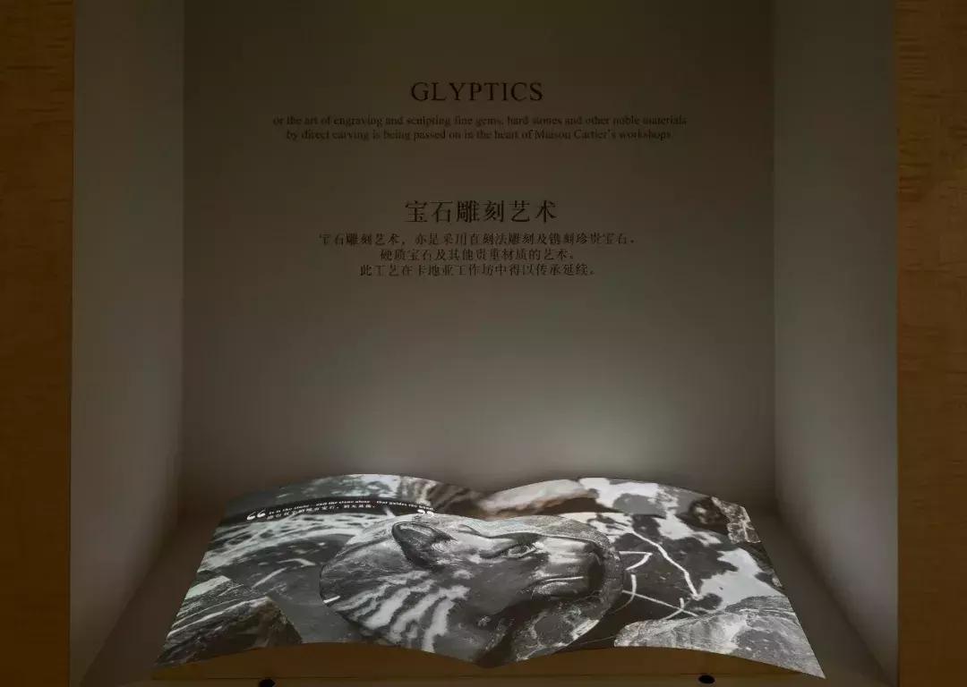 卡地亚手表最新款2017，自然美景的探索之旅之旅