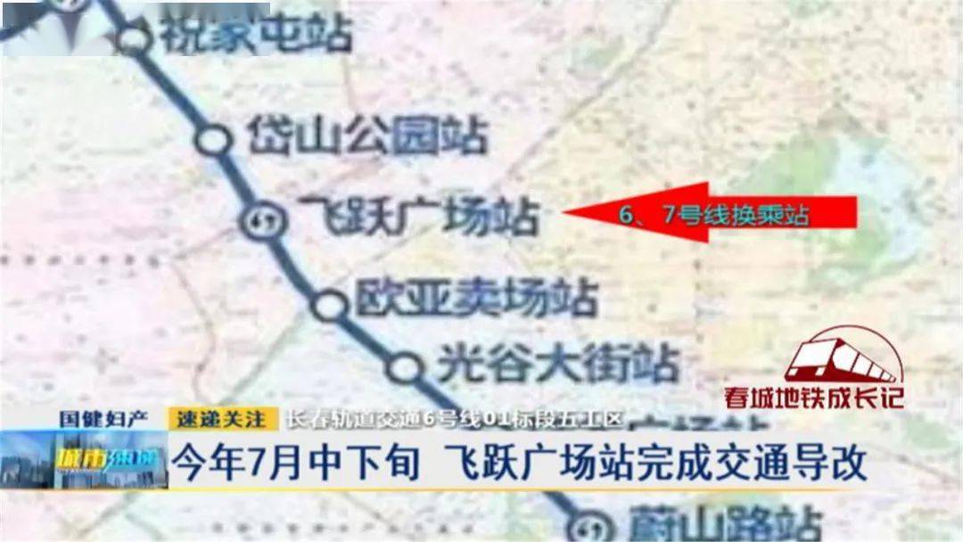 通葡最新消息及其观点论述解析