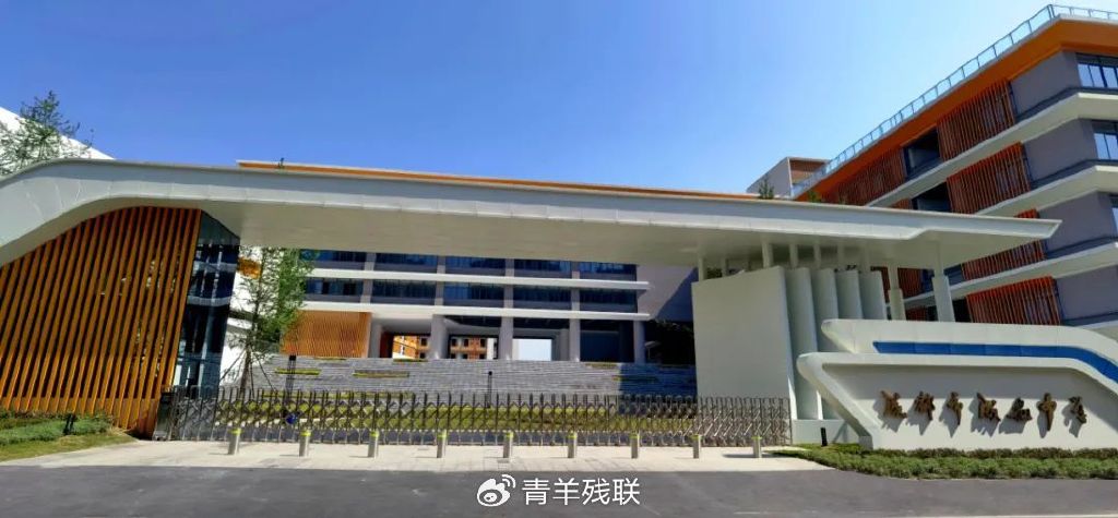 成飞中学最新动态与小巷特色小店探秘揭秘