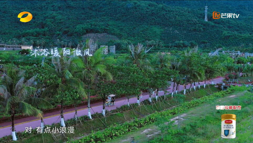 厦门科三后溪之旅，温馨日常故事的新视角